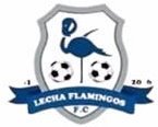 LECHA FLAMINGOS FC logo